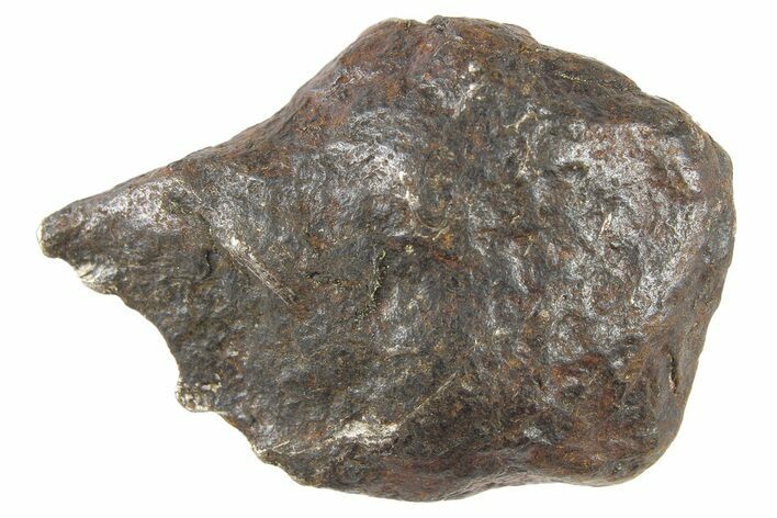 Canyon Diablo Iron Meteorite ( g) - Arizona #262868